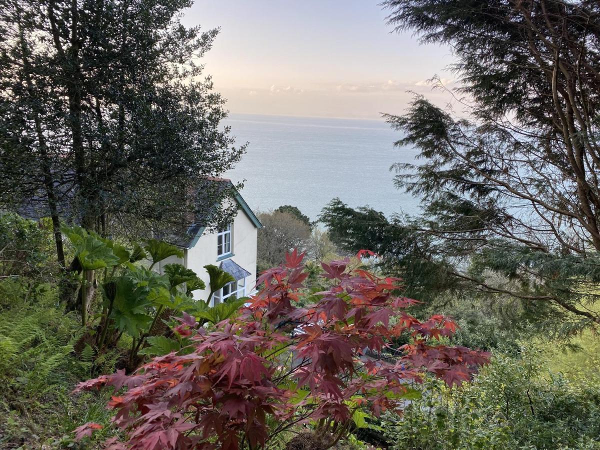 North Walk House Bed & Breakfast Lynton Exterior photo