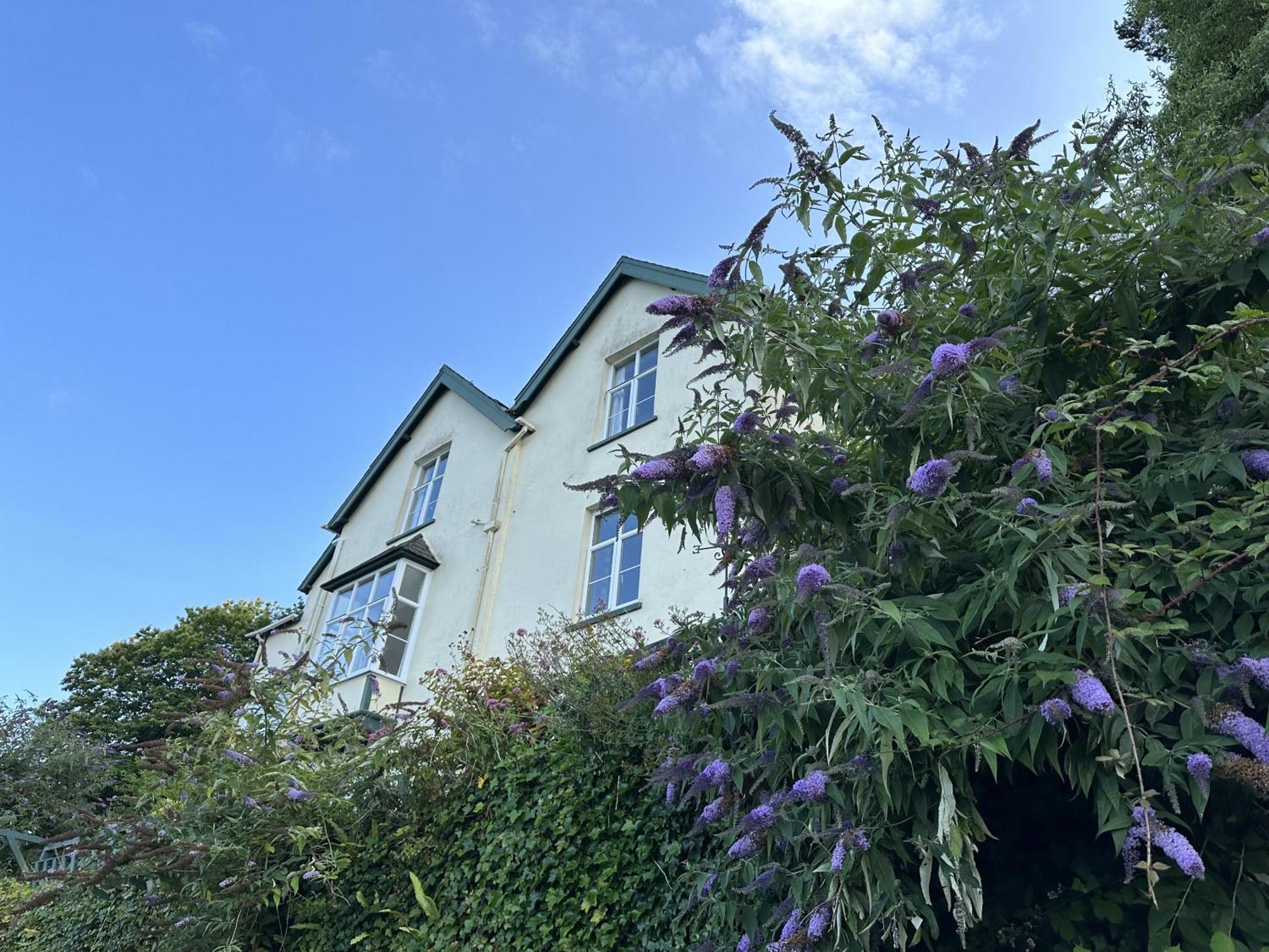 North Walk House Bed & Breakfast Lynton Exterior photo